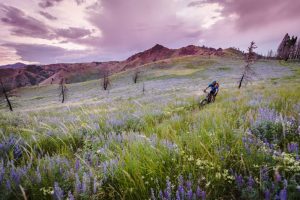 knob-hill-inn-sun-valley-idaho-biking