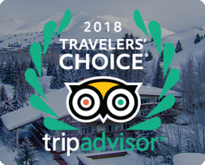 Trip Advisor 2018 Travelers' Choice