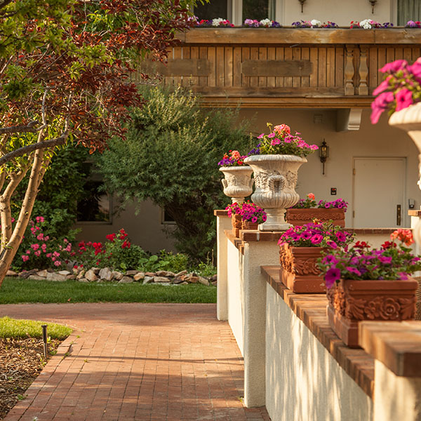 flowers on the patio