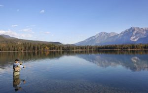 Fly Fishing In Rocky Mountains, Alberta, Canada